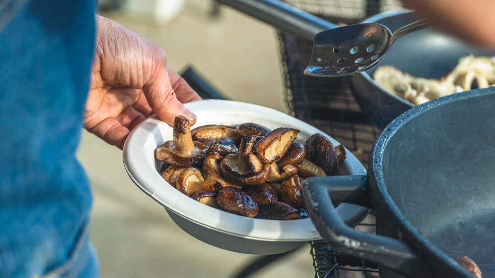 Kit de cultivo ecológico Shiitake